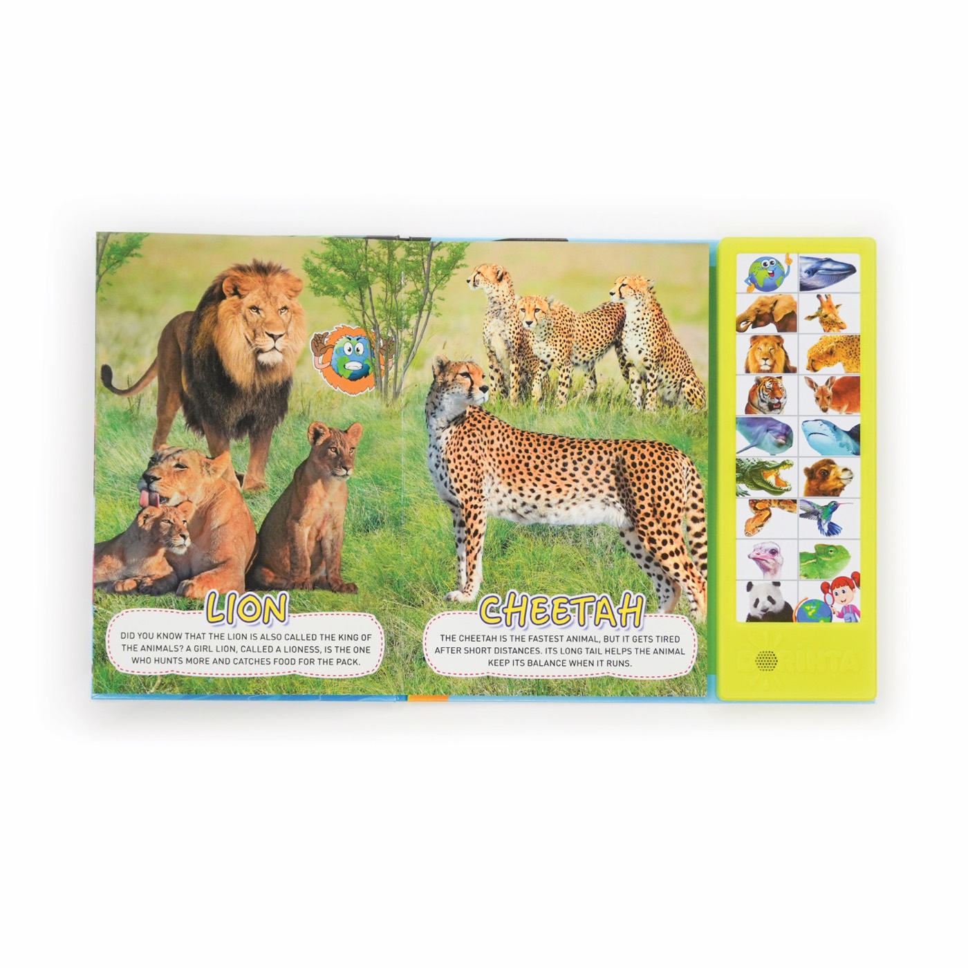 Open My First Sound Encyclopedia showing lions and cheetahs